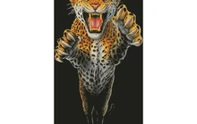 Ponto-cruz-em-pdf-onca-feroz-bordados