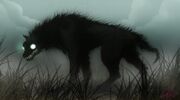Cães negros 1.jpg