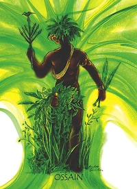 Ossain, de Aurilda Sanches