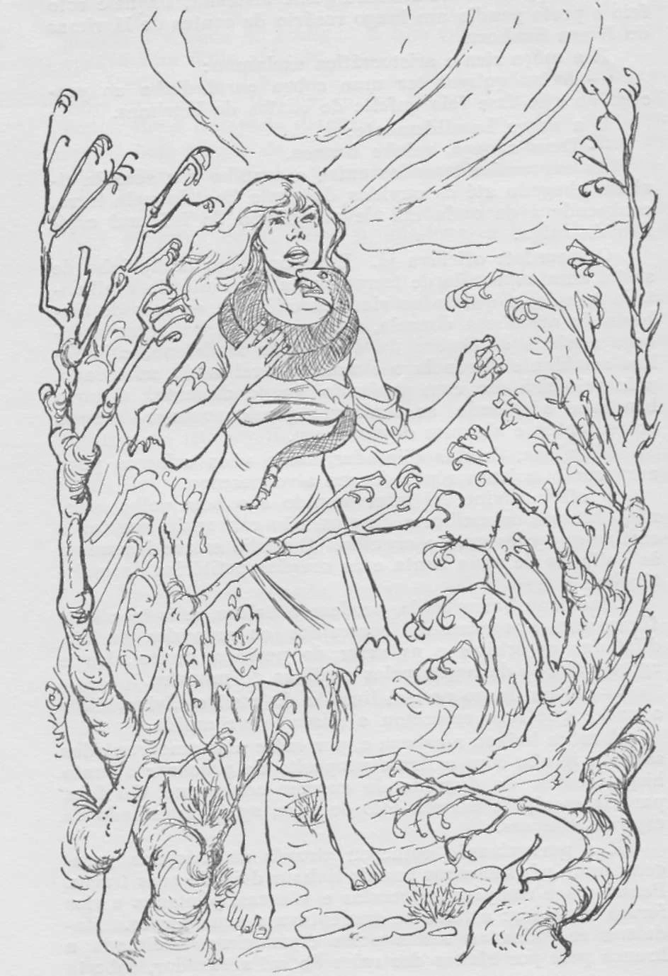 Sementes Do Cactus Trichocereus Peruvianus (san Pedro) 200 sementes -  Universo Sagrado, image size:943x1377