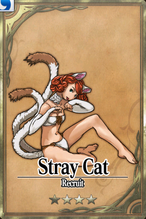 Stray Cat