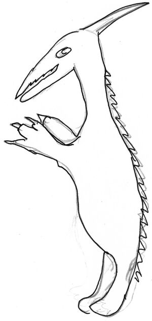 Img002.jpg
