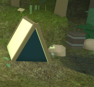 An abandoned tent in the Ancient Forest; near Topple Lake.