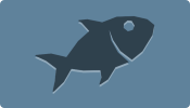 Fish Icon