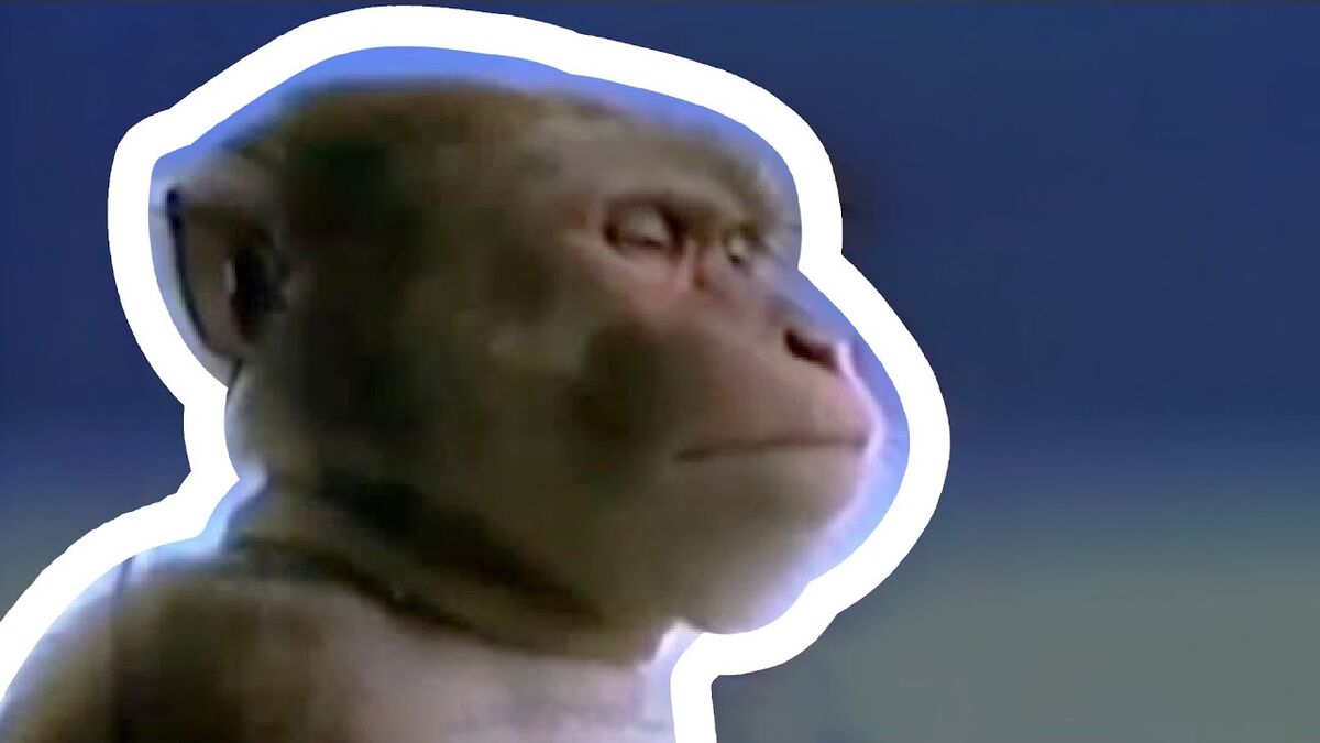 сергей пер бабиджон. маленький бабиджон маленький бабиджон. маленький бабиджон песня. сергей бабиджон жирный. папа бабиджона.