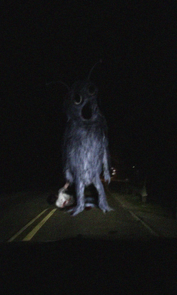 День 18 монстр тревор хендерсон. Монстры тревора henderson хендерсон. Монстры тревора henderson хендерсон. Такой монстр как я. Майк вазовский страшный.