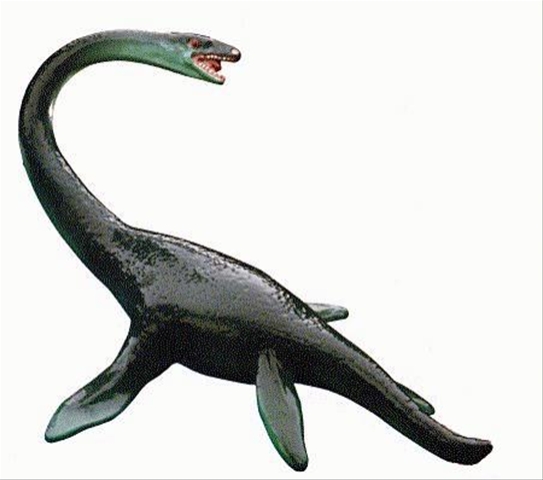 Loch ness monster Made by: Anuki Maisuradze Lasha Lezhava. - ppt video online do