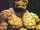 The Thing (Sassone series)
