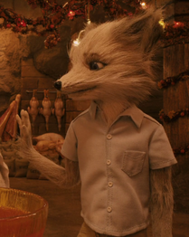 Kristofferson Silverfox - 'Fantastic Mr Fox'