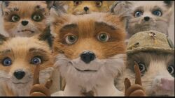 Fantastic-Mr-Fox-fantastic-mr-fox-14626816-853-480.jpg