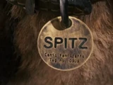 Spitz