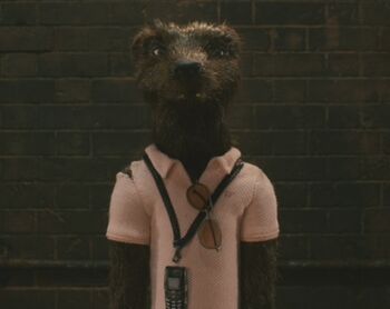 Weasel.jpg