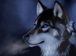 Baxter's Wolf.jpg