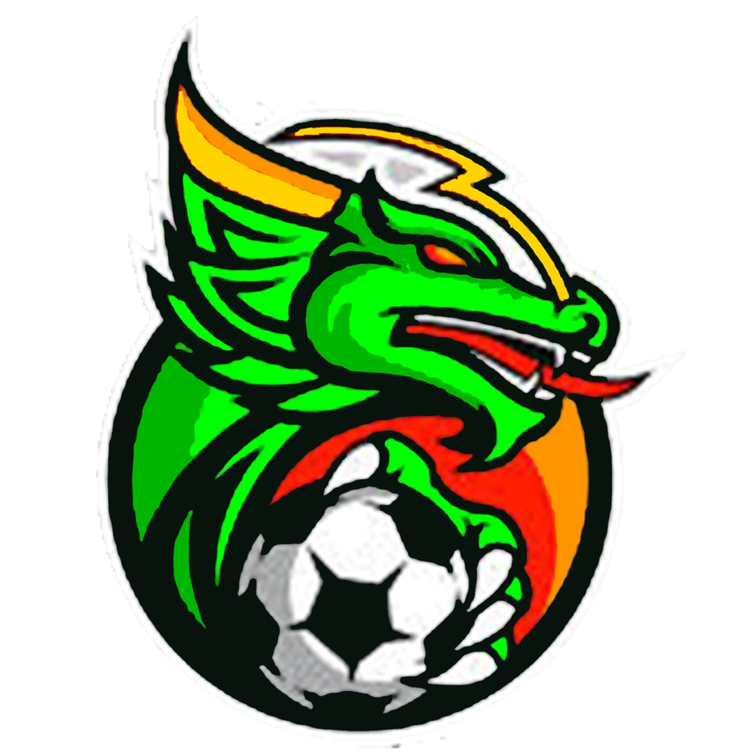 Wyvern Riders National Soccer League Wiki Fandom
