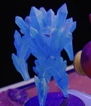 SqueemMini.png (2.5 MB) Squeem