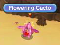 Flowering Cacto.png