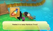 Rainbow trout spot