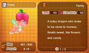 Fairy Dragon Description