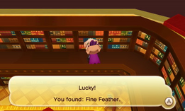 Royal Castele Library Fine Feather