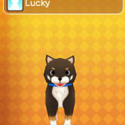 fantasy life wiki fandom