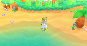 Sky Turtle Saddle Example