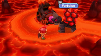 Fortoise