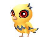 Concussive Canary