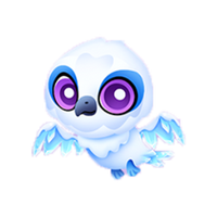 Snowy Owl Baby