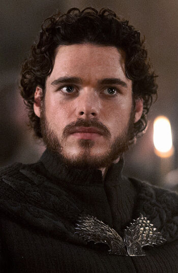 S3E9 Robb Stark main