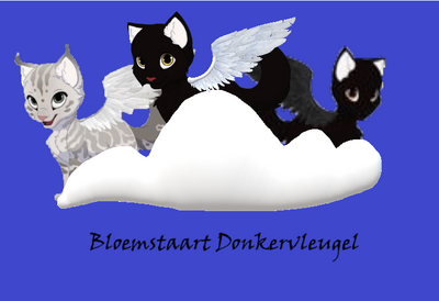 BloemstaartDonkervleugel.jpg.png