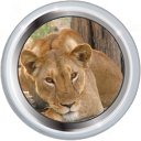 Badge-1-4.png