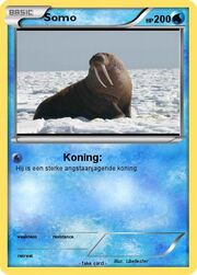 Somo.jpg