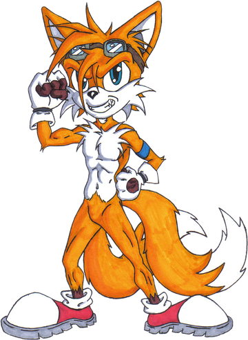 Tails The Fox - New Super Mario Bros. X