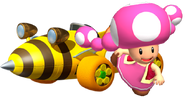 Toadette next to her Bumble V Kart