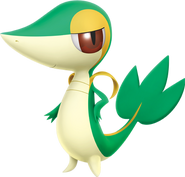 Snivy