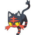 725Litten