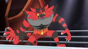 Download-10Incineroar