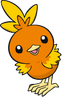 Torchic Dream