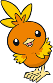 Torchic Fire Type