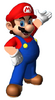 Mario NSMS