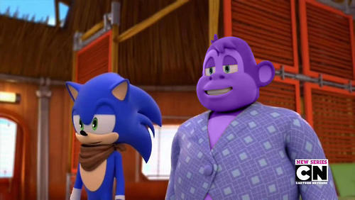 sonic boom bonzi buddy