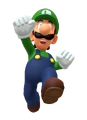 Luigi (MP10) 5.png (95 KB)