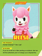 Reese's Nintendo Power Card
