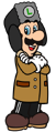 Luigi Artwork SMGG.png (31 KB)