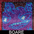 FSB Boare.png