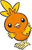 Torchic