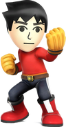 Mii Brawler SSB4