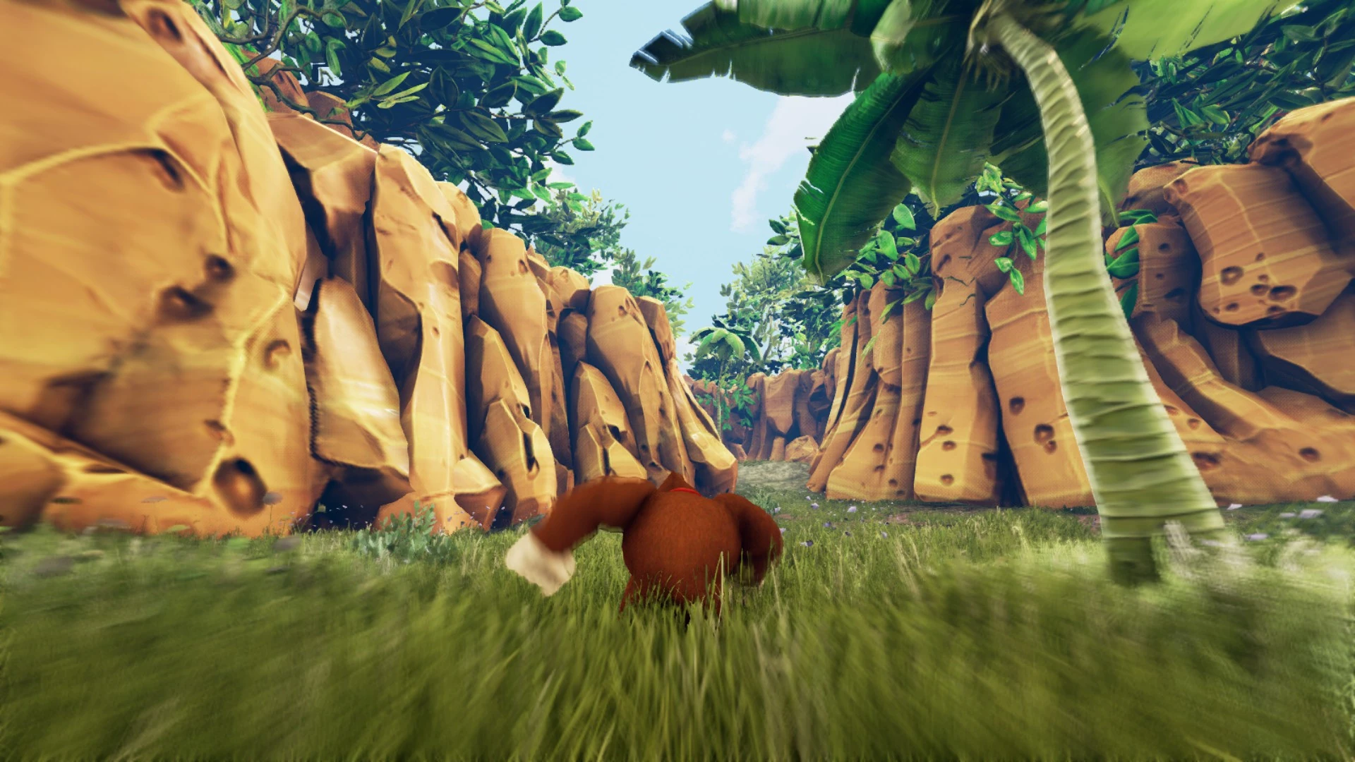 Donkey Kong 64 Remastered | Fantendo - Game Ideas & More | Fandom