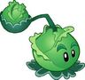 Cabbage Pult