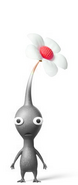 A Grey Pikmin